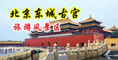 女生潮吹插逼免费观看中国北京-东城古宫旅游风景区